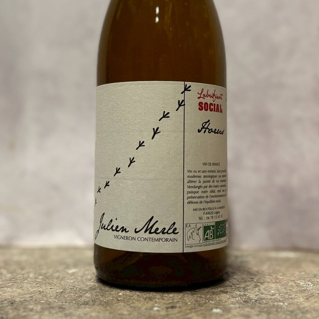 ホルス 2021 / ジュリアン・メルル Horus 2021 / Julien Merles