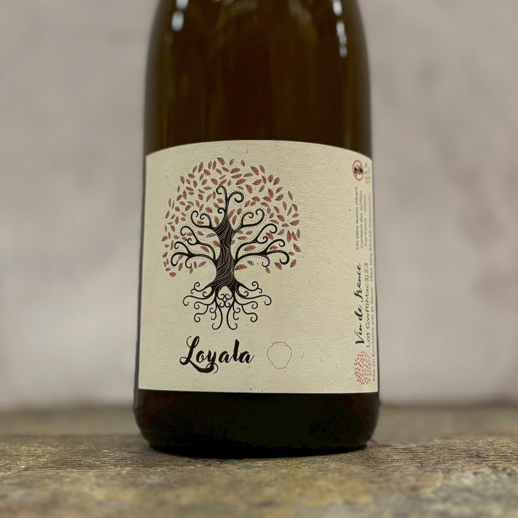 ロイヤラ・ジャーラ 2023 / マキシム Loyala Jarra 2023 / Max Ime