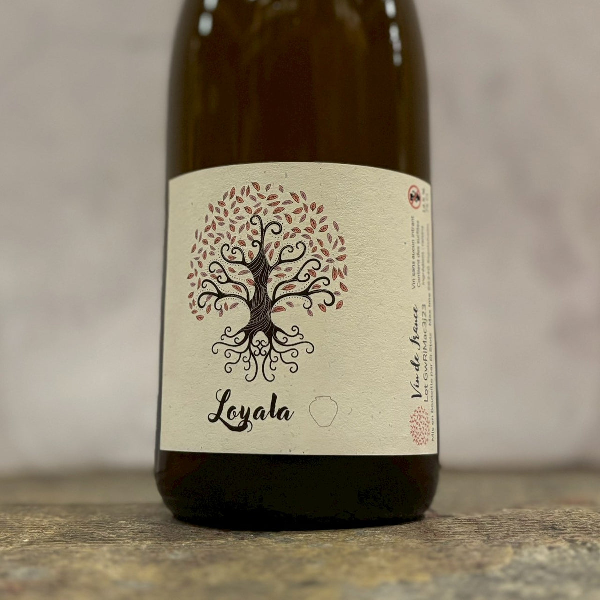 ロイヤラ・ジャーラ 2023 / マキシム Loyala Jarra 2023 / Max Ime