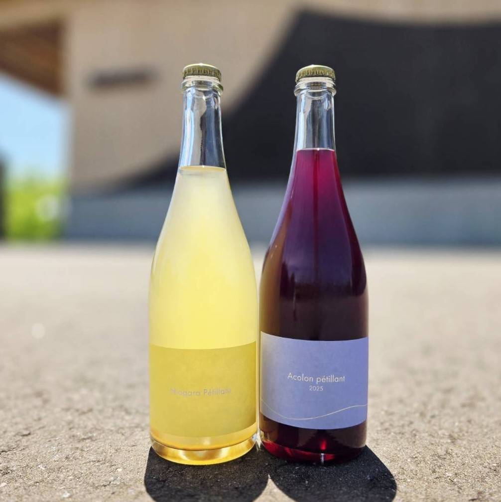 Niagara Petillant & Acolon Petillant 2025 【2本セット】 torocco